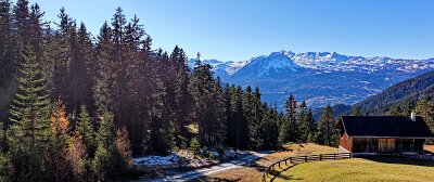 DJI_20251108131447_0001_D