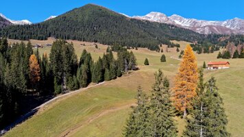 DJI_20251108131546_0004_D