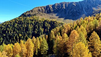 DJI_20251015113338_0085_D