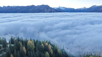 DJI_20251017080146_0139_D