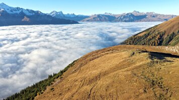 DJI_20251017083605_0189_D