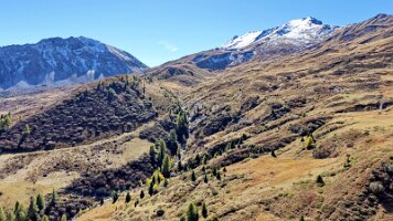dji_fly_20251008_130140_0104_1759928006443_photo
