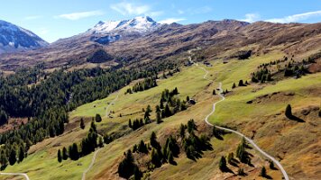 dji_fly_20251008_131438_0130_1759927905880_photo